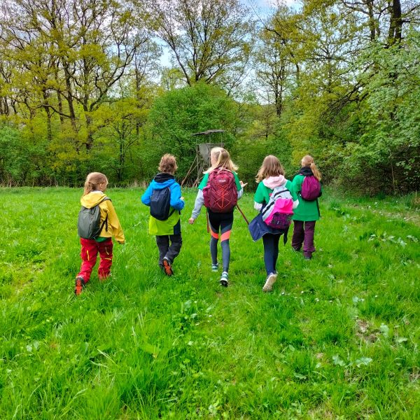 Waldlaufmeisterschaft in Wilgersdorf