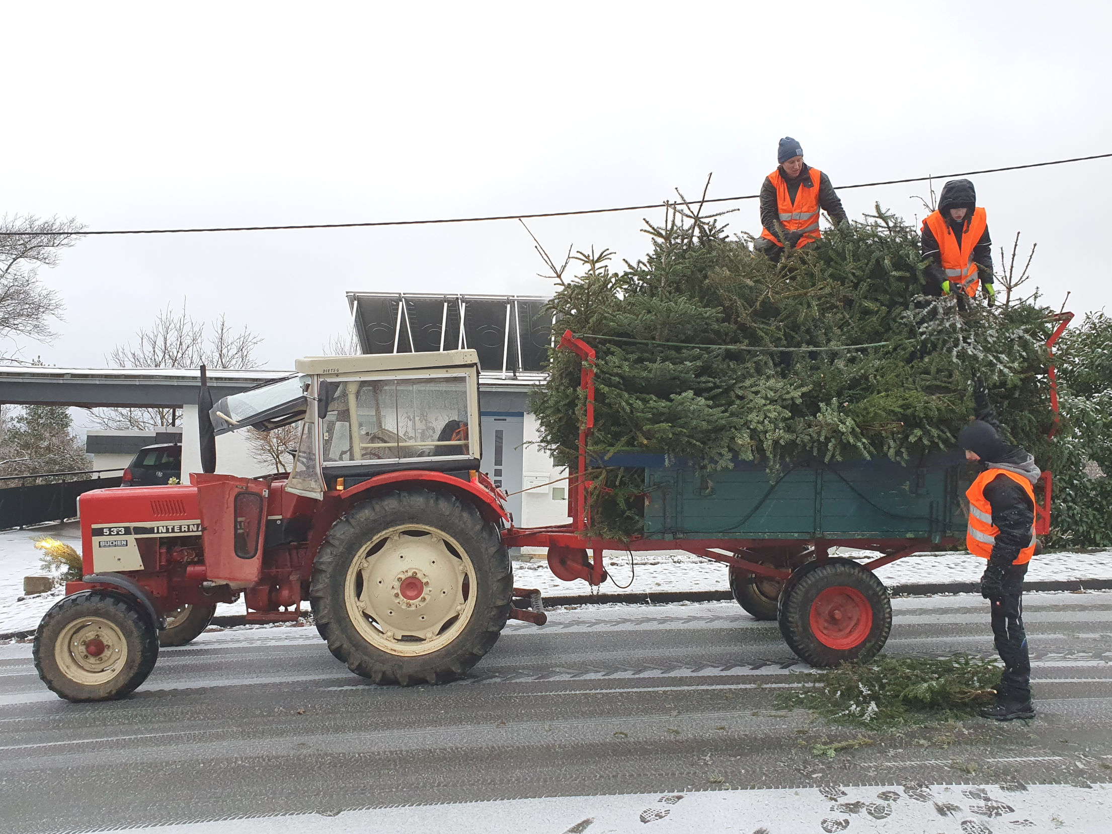 Weihnachtsbaumsammlung_2024_2