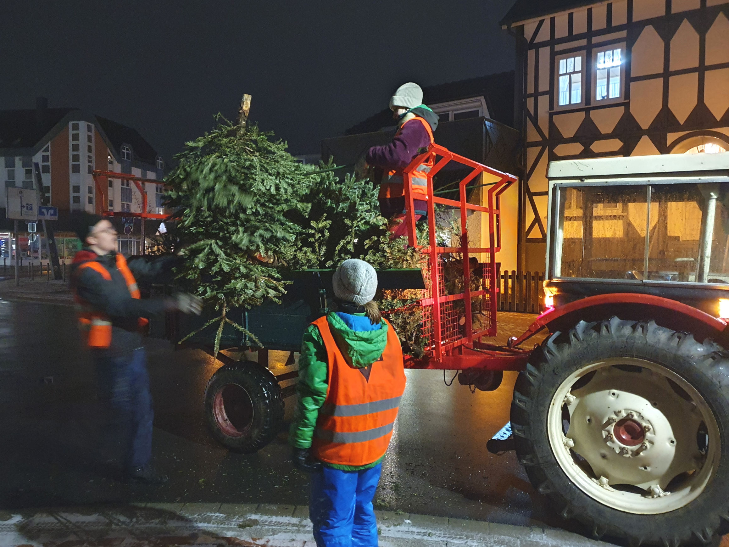 Weihnachtsbaumsammlung_2024_5